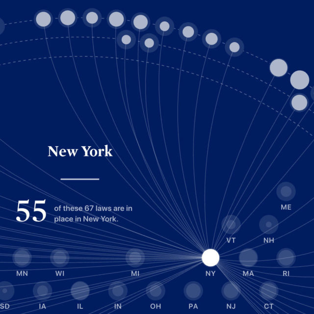 Gun Law Navigator interface