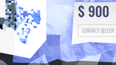 collage with images from the report